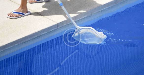 Pool Maintenance